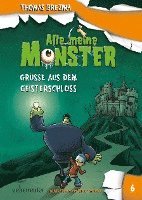 bokomslag Alle meine Monster - Grüße aus dem Geisterschloss