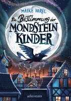 bokomslag Die Bestimmung der Mondsteinkinder