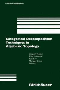 bokomslag Categorical Decomposition Techniques in Algebraic Topology