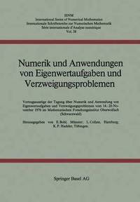 bokomslag Numerik und Anwendungen von Eigenwertaufgaben und Verzweigungsproblemen