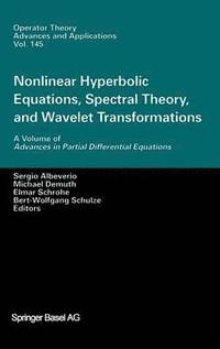 bokomslag Nonlinear Hyperbolic Equations, Spectral Theory, and Wavelet Transformations
