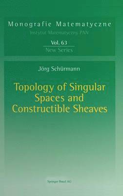 bokomslag Topology of Singular Spaces and Constructible Sheaves
