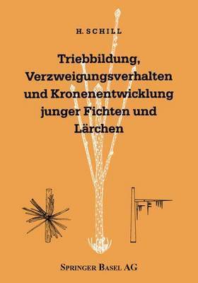 bokomslag Triebbildung, Verzweigungsverhalten und Kronenentwicklung junger Fichten und Lrchen