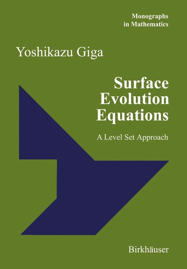 bokomslag Surface Evolution Equations