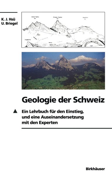 bokomslag Geologie der Schweiz