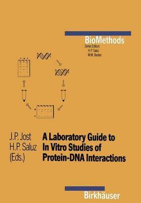 Jost, Saluz - Laboratory Guide to In Vitro Studies of Protein-DNA Interactions, Häftad