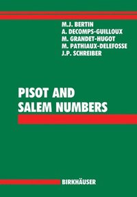 bokomslag Pisot and Salem Numbers