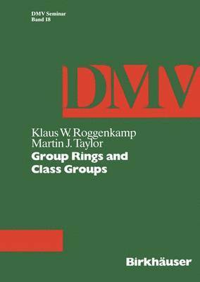 bokomslag Group Rings and Class Groups