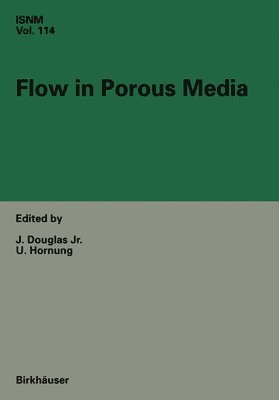 Jim Douglas, U. Hornung, Jim Douglas Jr - Flow in Porous Media, Inbunden
