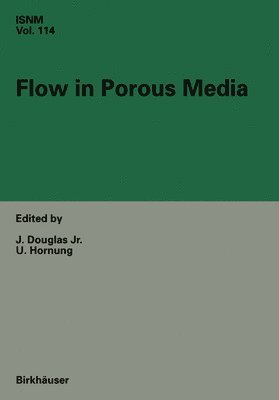Flow in Porous Media 1
