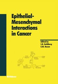 bokomslag Epithelial-Mesenchymal Interactions in Cancer