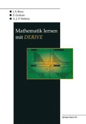 bokomslag Mathematik lernen mit DERIVE