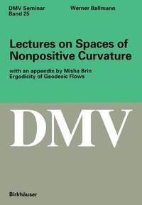 bokomslag Lectures on Spaces of Nonpositive Curvature