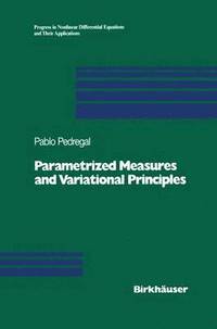 bokomslag Parametrized Measures and Variational Principles