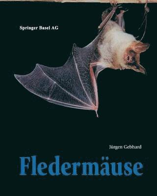 Jürgen Gebhard, Jurgen Gebhardt - Fledermäuse, Häftad