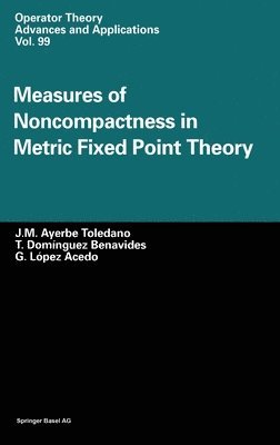 bokomslag Measures of Noncompactness in Metric Fixed Point Theory