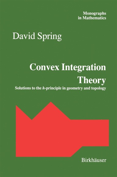 bokomslag Convex Integration Theory