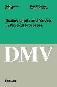 bokomslag Scaling Limits and Models in Physical Processes