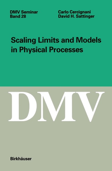 Carlo Cercignani, David Sattinger - Scaling Limits and Models in Physical Processes, Häftad