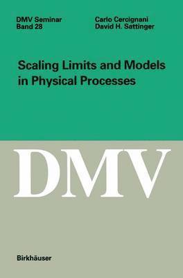 Scaling Limits and Models in Physical Processes 1