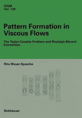 Pattern Formation in Viscous Flows 1
