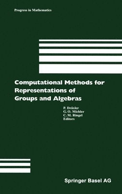 bokomslag Computational Methods for Representations of Groups and Algebras