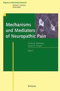 bokomslag Mechanisms and Mediators of Neuropathic Pain