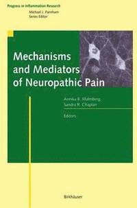 bokomslag Mechanisms and Mediators of Neuropathic Pain