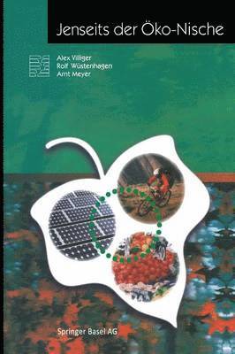 Alex Villiger, Arnt Meyer, Rolf Wüstenhagen - Jenseits der Öko-Nische, Häftad