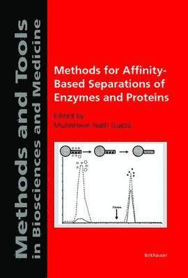 Munishwar Nath Gupta, Munishwar N. Gupta - Methods for Affinity-Based Separations of Enzymes and Proteins, Häftad