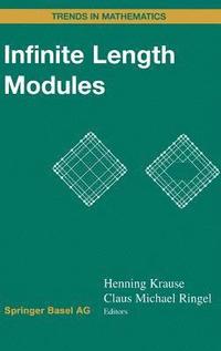 bokomslag Infinite Length Modules