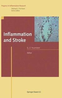 bokomslag Inflammation and Stroke