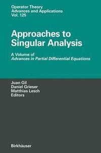 bokomslag Approaches to Singular Analysis