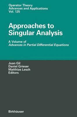 Approaches to Singular Analysis 1