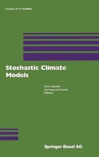 bokomslag Stochastic Climate Models: v. 49