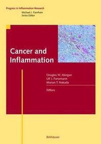bokomslag Cancer and Inflammation