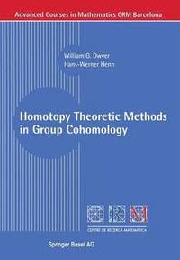 bokomslag Homotopy Theoretic Methods in Group Cohomology