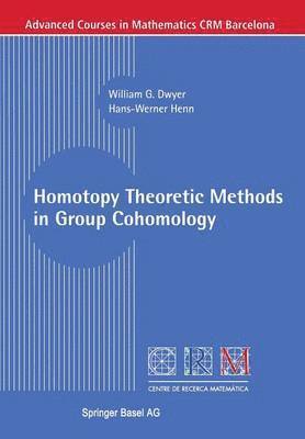 bokomslag Homotopy Theoretic Methods in Group Cohomology