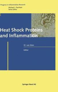 bokomslag Heat Shock Proteins and Inflammation