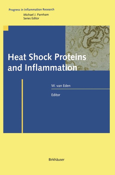 Willem van Eden - Heat Shock Proteins and Inflammation, Inbunden