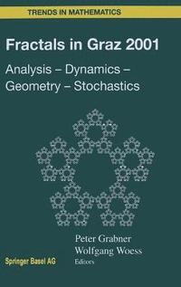 bokomslag Fractals in Graz 2001