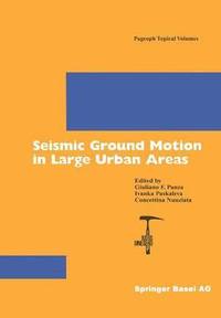 bokomslag Seismic Ground Motion in Large Urban Areas