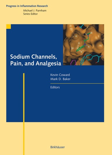 Kevin Coward, Mark D. Baker - Sodium Channels, Pain, and Analgesia, Inbunden