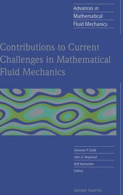 Contributions to Current Challenges in Mathematical Fluid Mechanics 1