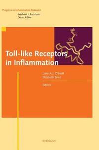bokomslag Toll-like Receptors in Inflammation