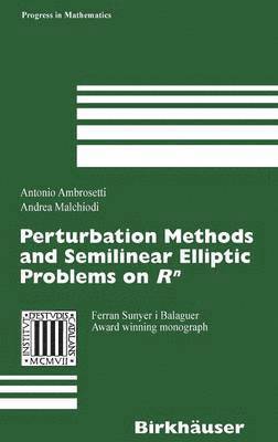 Perturbation Methods and Semilinear Elliptic Problems on R^n 1