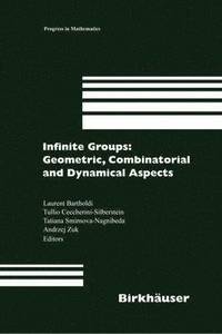 bokomslag Infinite Groups: Geometric, Combinatorial and Dynamical Aspects