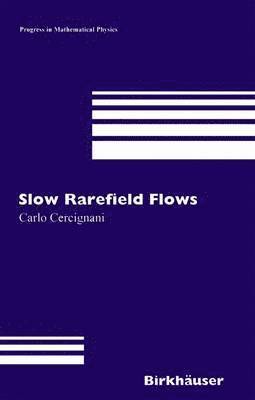 bokomslag Slow Rarefied Flows