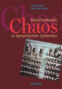 bokomslag Berechenbares Chaos in dynamischen Systemen