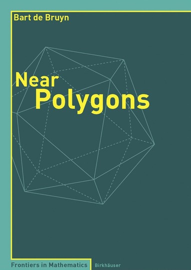 bokomslag Near Polygons